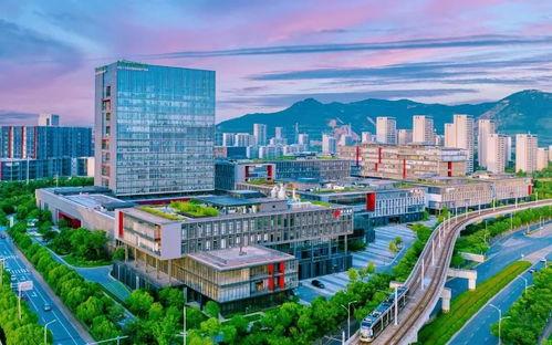 国产精区,探索中国科技产业的崛起之路